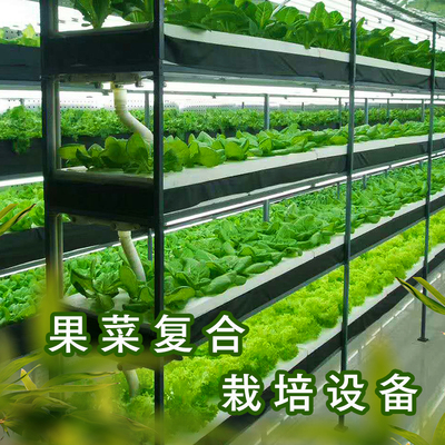 果菜复合栽培设备