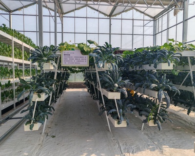 A字架立体种植系统