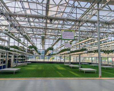空中立体升降种植系统