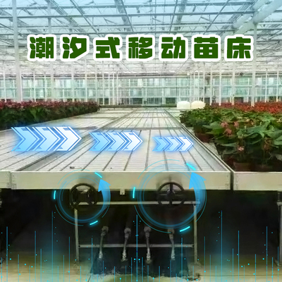 潮汐式移动苗床