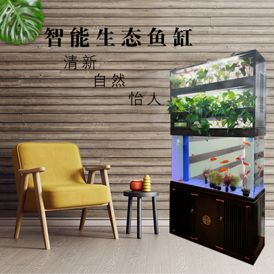 生态鱼缸