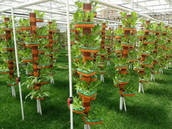 大棚无土栽培设备 温室大棚立体栽培设备展示 丽华润康科技种植有限公司 与您开启都市家庭农业时代